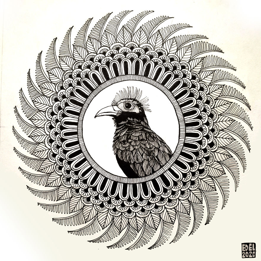 I Used Mandala Art To Help Promote Philippine Endemic Birds