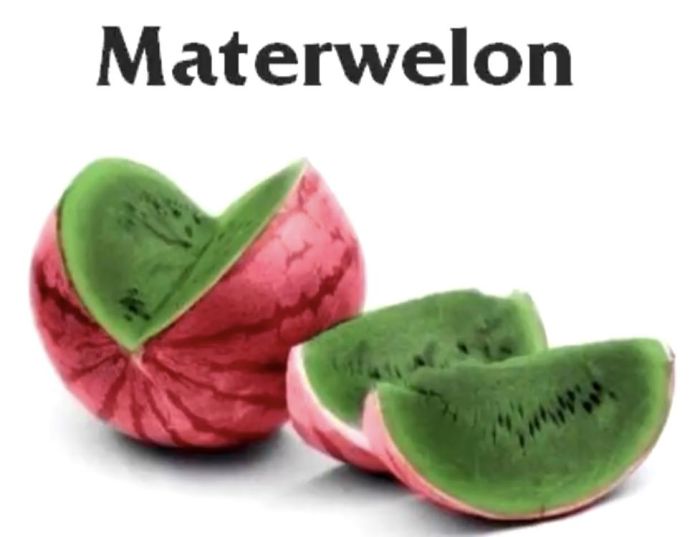 Materwelon :)