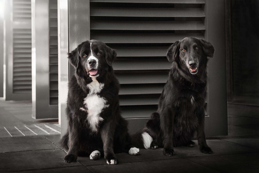 Matta And Husher - Dynamic Duo