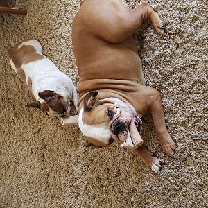 libbie_miller avatar