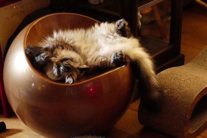 Nini (Ninotschka, Newa Masquarade)