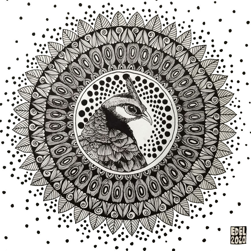 I Used Mandala Art To Help Promote Philippine Endemic Birds