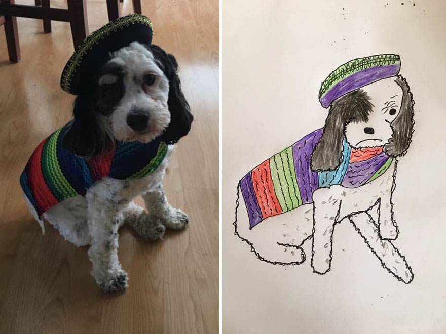 Funny-Pet-Portraits-Charity-Hercule-Van-Wolfwinkle