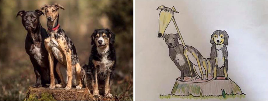 Funny-Pet-Portraits-Charity-Hercule-Van-Wolfwinkle