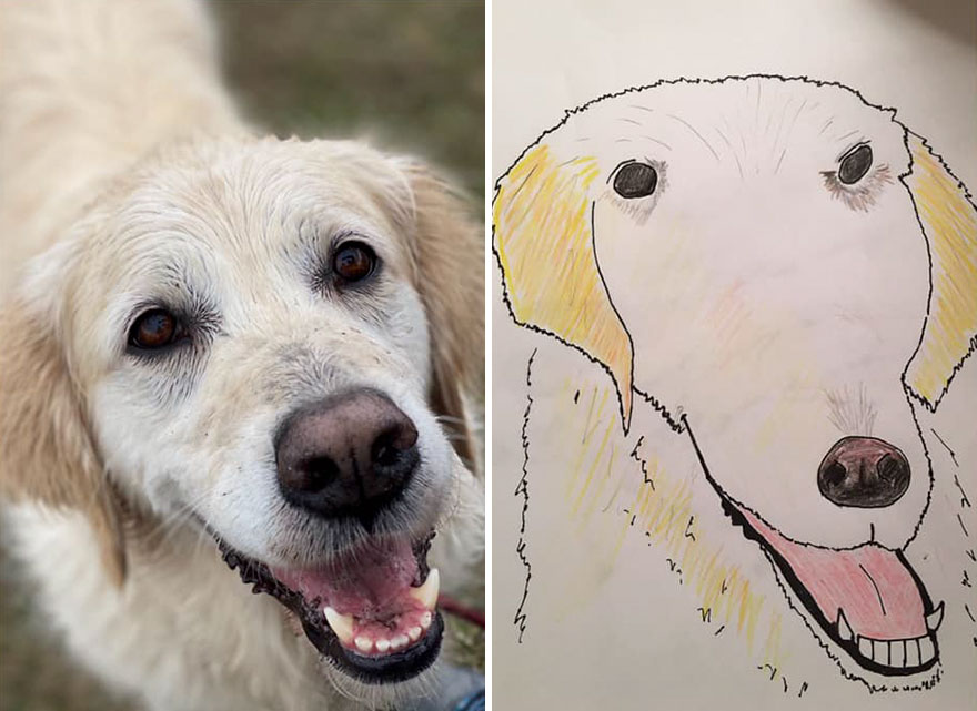 Funny-Pet-Portraits-Charity-Hercule-Van-Wolfwinkle