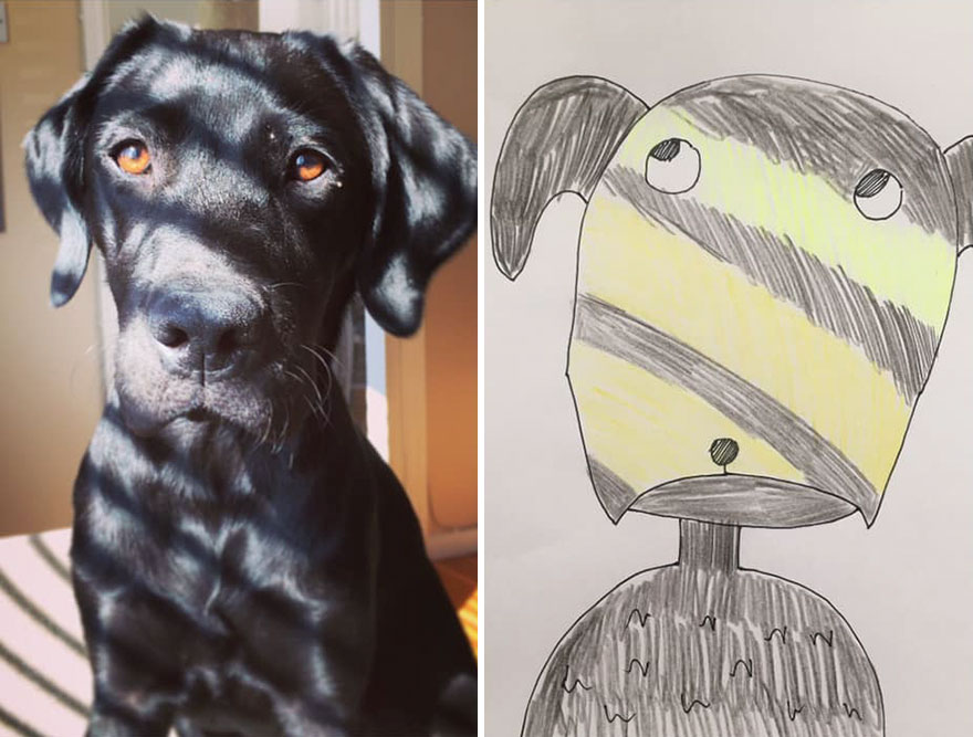 Funny-Pet-Portraits-Charity-Hercule-Van-Wolfwinkle