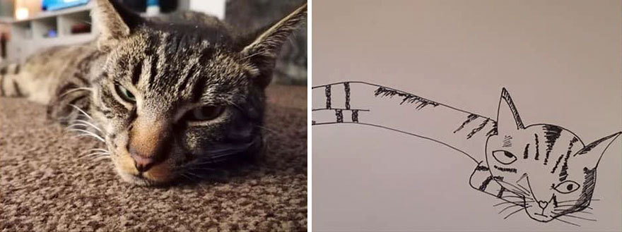 Funny-Pet-Portraits-Charity-Hercule-Van-Wolfwinkle