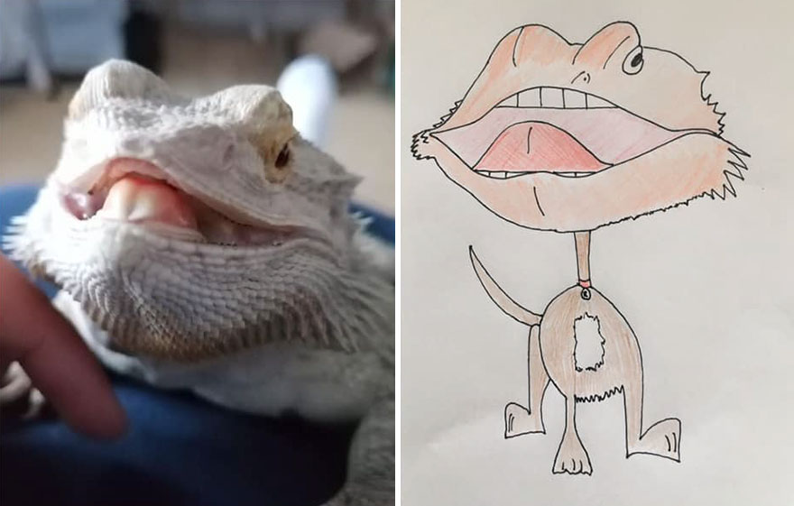 Funny-Pet-Portraits-Charity-Hercule-Van-Wolfwinkle