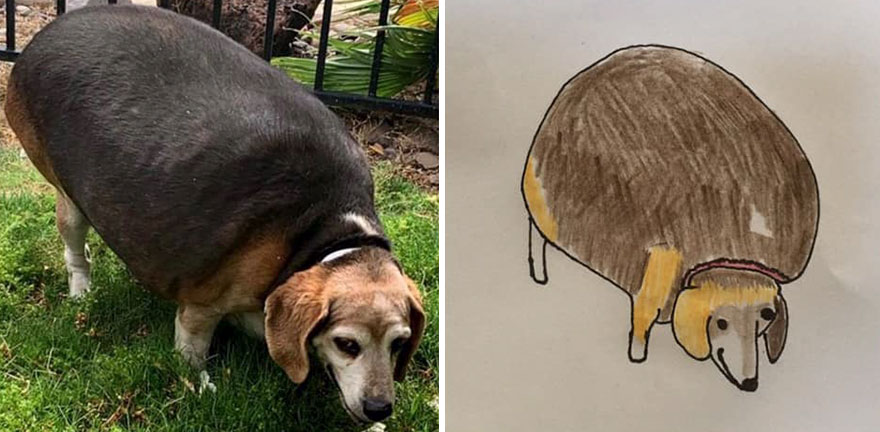 Funny-Pet-Portraits-Charity-Hercule-Van-Wolfwinkle