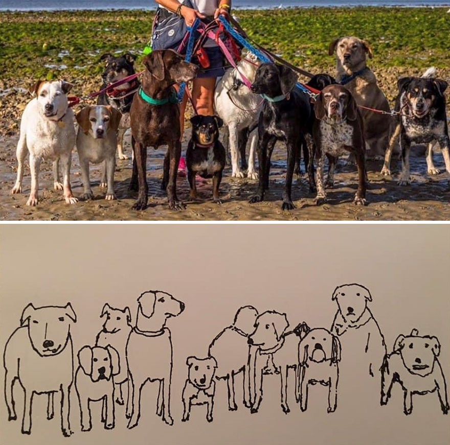 Funny-Pet-Portraits-Charity-Hercule-Van-Wolfwinkle