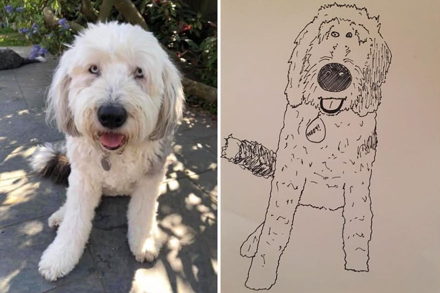 Funny-Pet-Portraits-Charity-Hercule-Van-Wolfwinkle