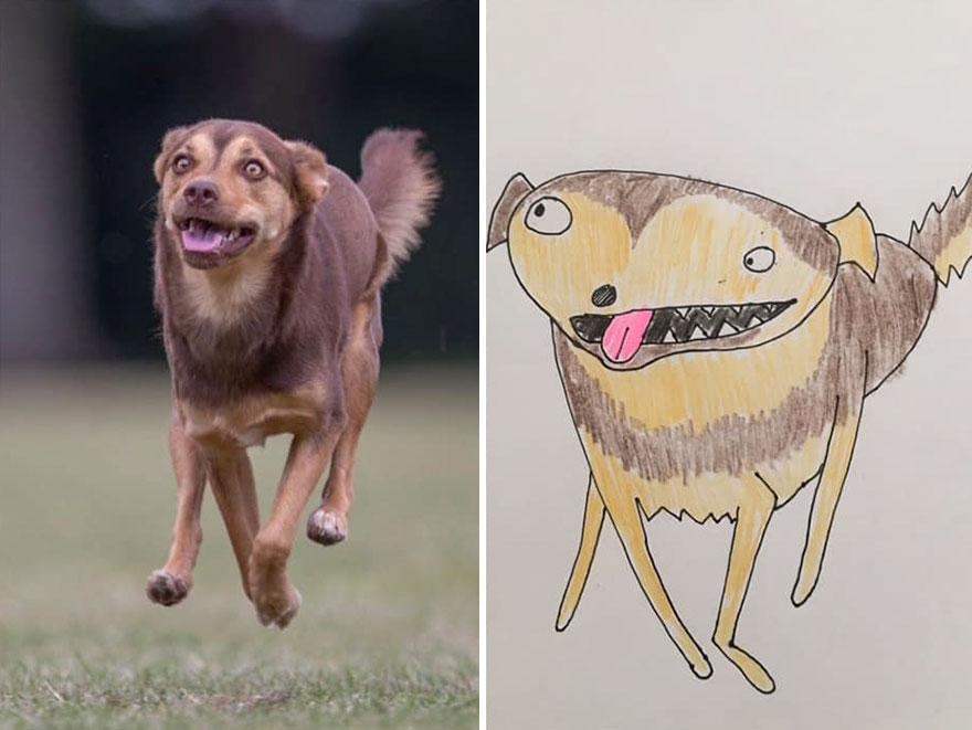 Funny-Pet-Portraits-Charity-Hercule-Van-Wolfwinkle