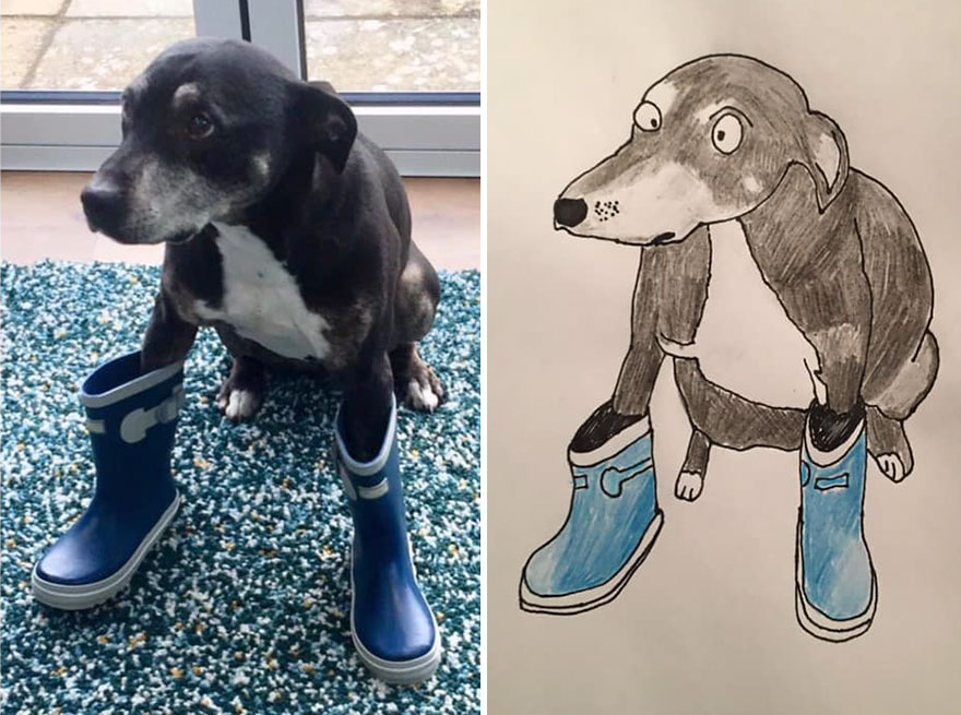 Funny-Pet-Portraits-Charity-Hercule-Van-Wolfwinkle