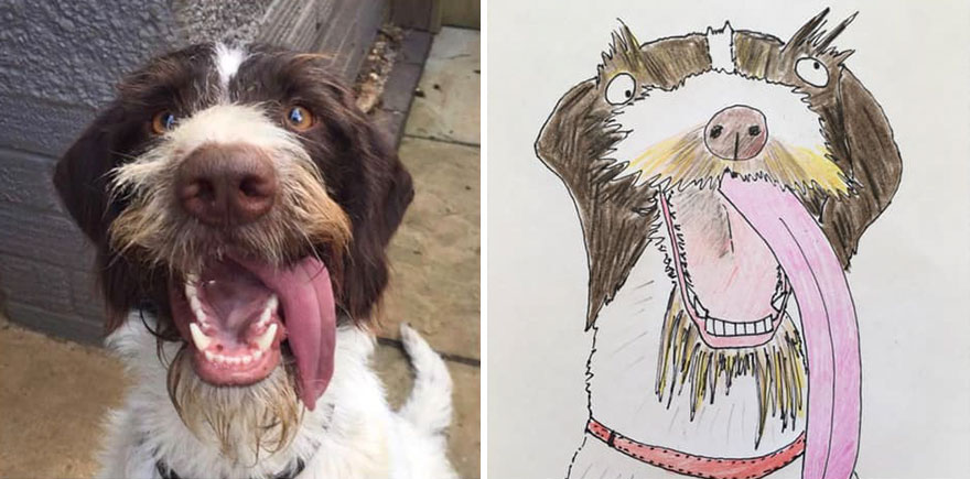 Funny-Pet-Portraits-Charity-Hercule-Van-Wolfwinkle