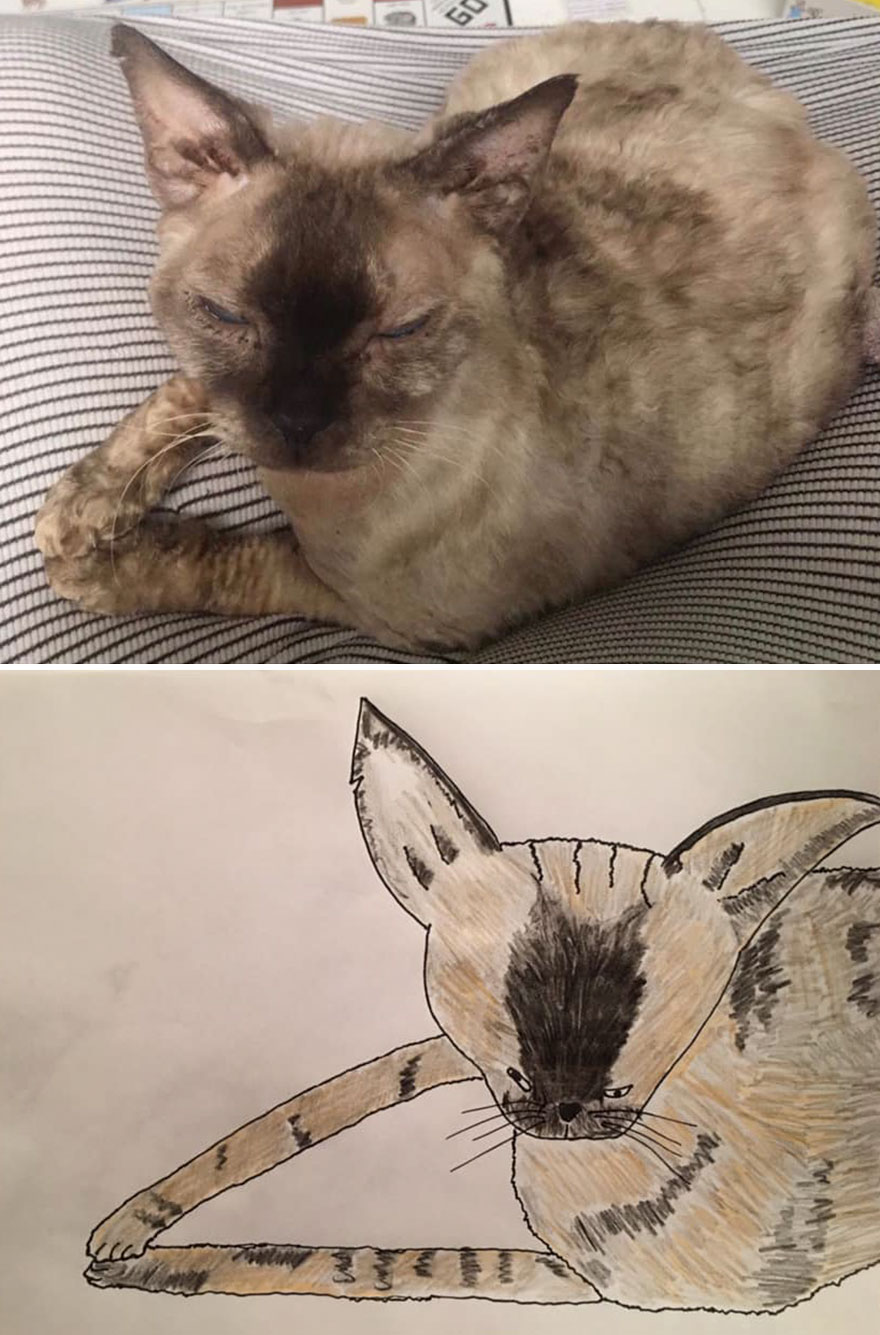 Funny-Pet-Portraits-Charity-Hercule-Van-Wolfwinkle