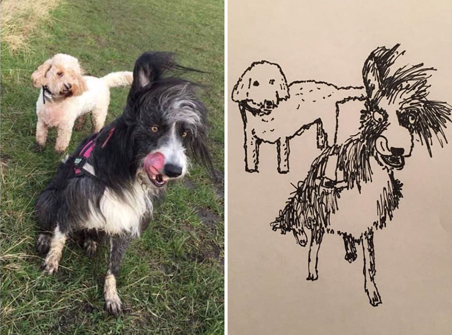 Funny-Pet-Portraits-Charity-Hercule-Van-Wolfwinkle