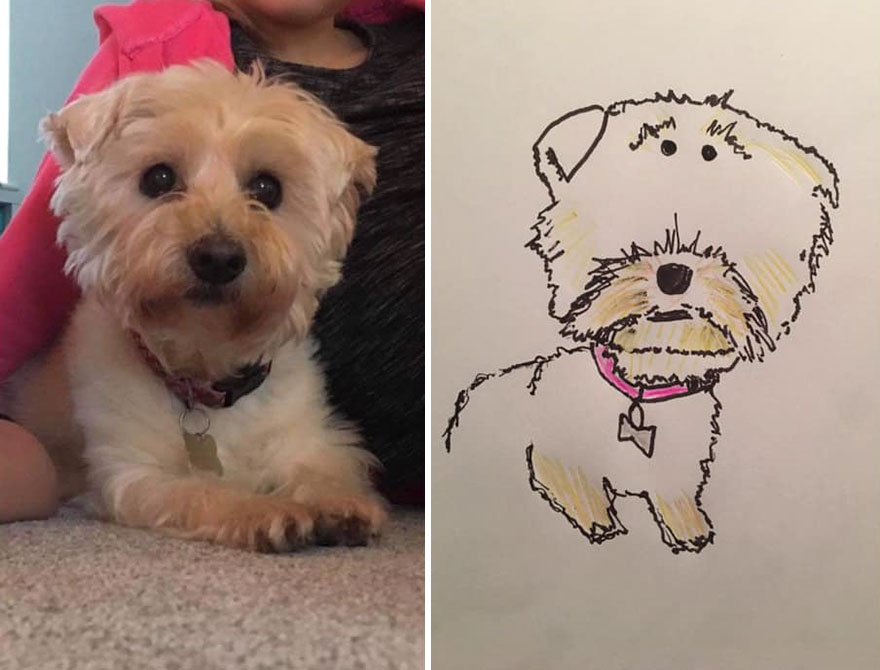 Funny-Pet-Portraits-Charity-Hercule-Van-Wolfwinkle