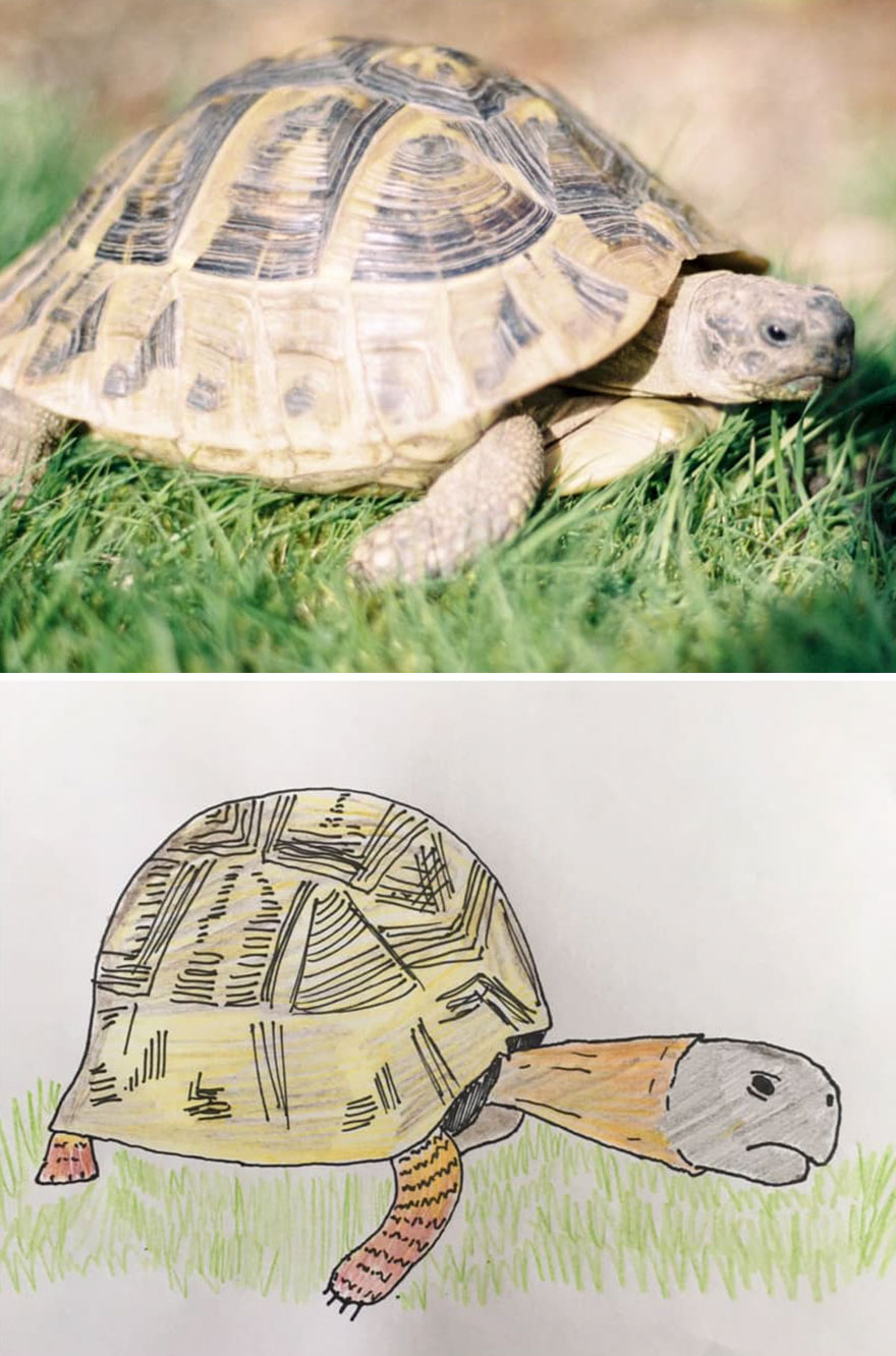 Funny-Pet-Portraits-Charity-Hercule-Van-Wolfwinkle