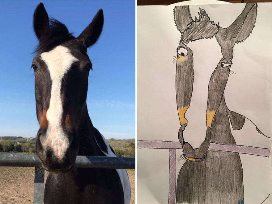 Funny-Pet-Portraits-Charity-Hercule-Van-Wolfwinkle