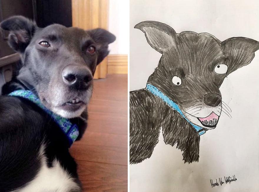 Funny-Pet-Portraits-Charity-Hercule-Van-Wolfwinkle