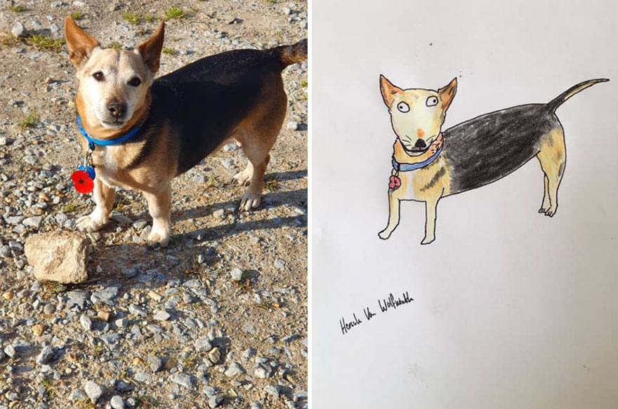 Funny-Pet-Portraits-Charity-Hercule-Van-Wolfwinkle