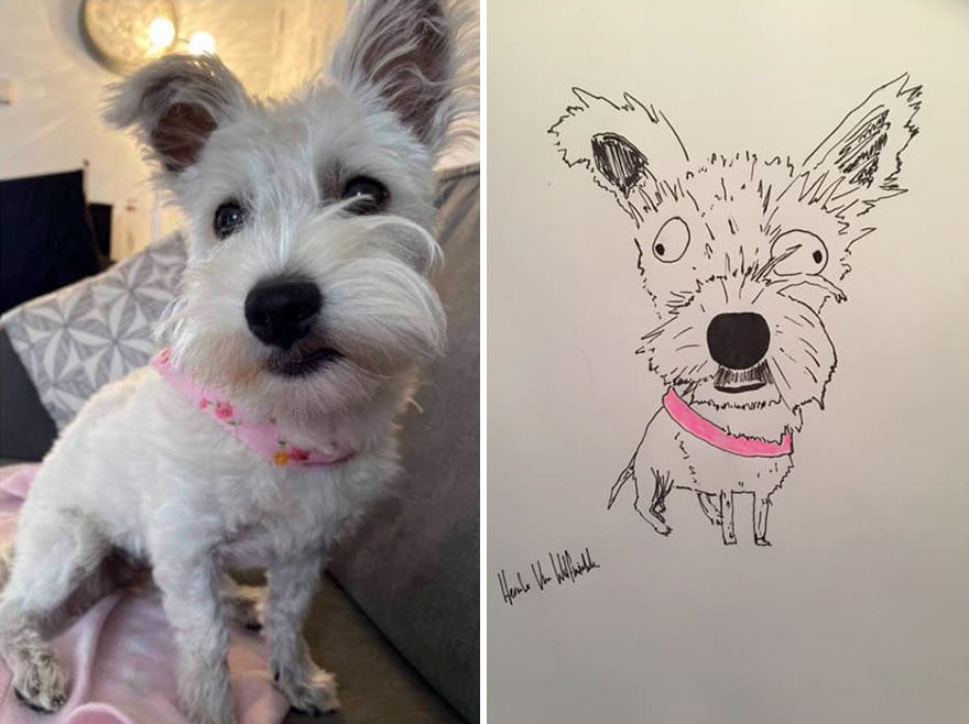 Funny-Pet-Portraits-Charity-Hercule-Van-Wolfwinkle