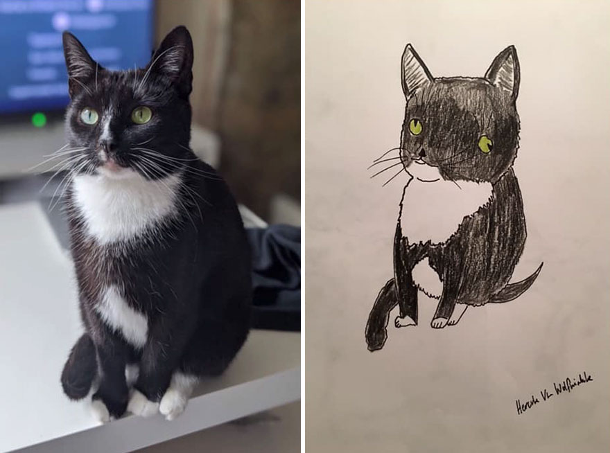 Funny-Pet-Portraits-Charity-Hercule-Van-Wolfwinkle