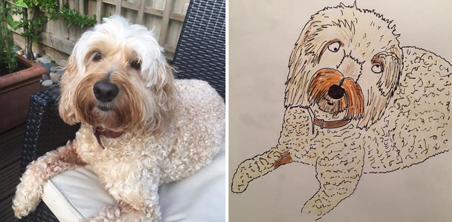 Funny-Pet-Portraits-Charity-Hercule-Van-Wolfwinkle