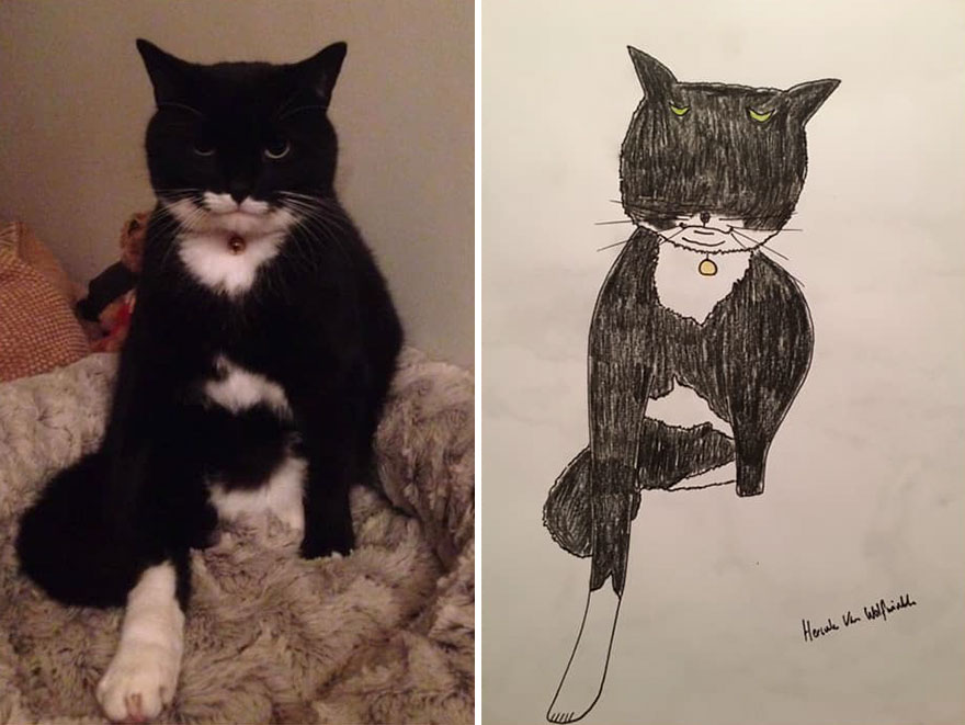 Funny-Pet-Portraits-Charity-Hercule-Van-Wolfwinkle