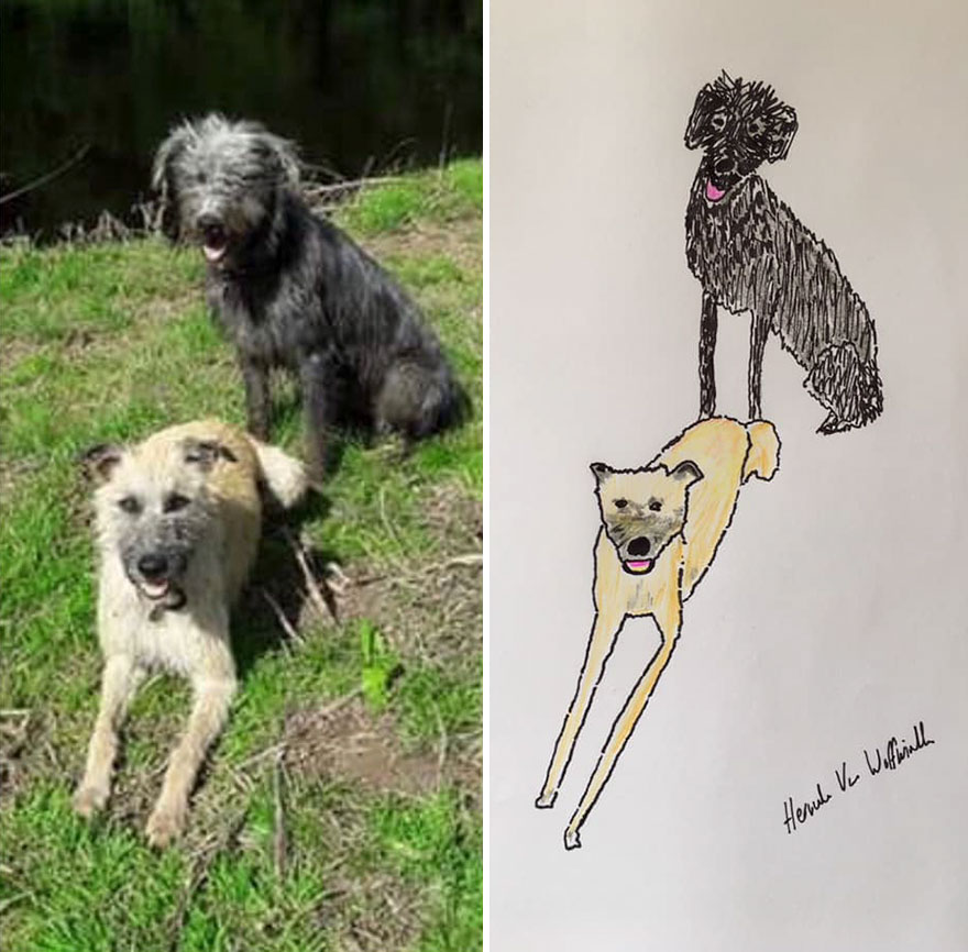 Funny-Pet-Portraits-Charity-Hercule-Van-Wolfwinkle