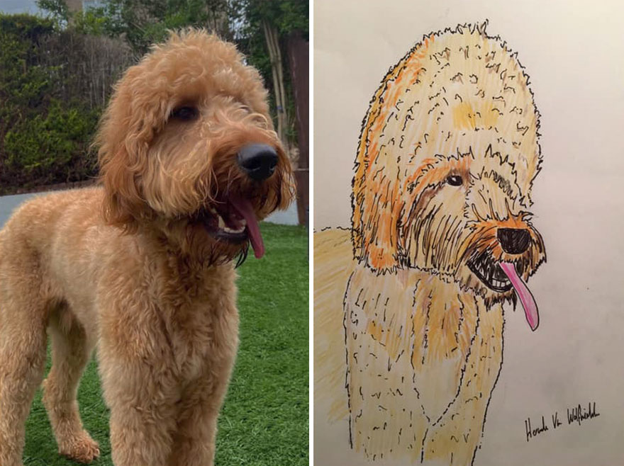 Funny-Pet-Portraits-Charity-Hercule-Van-Wolfwinkle