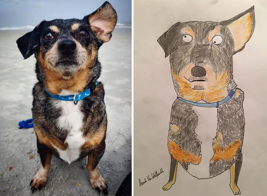 Funny-Pet-Portraits-Charity-Hercule-Van-Wolfwinkle