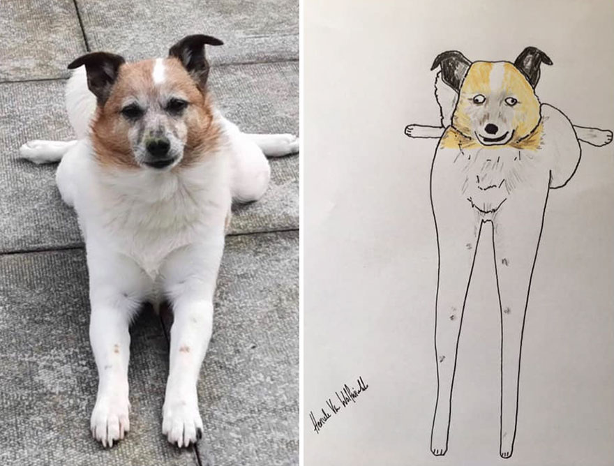 Funny-Pet-Portraits-Charity-Hercule-Van-Wolfwinkle