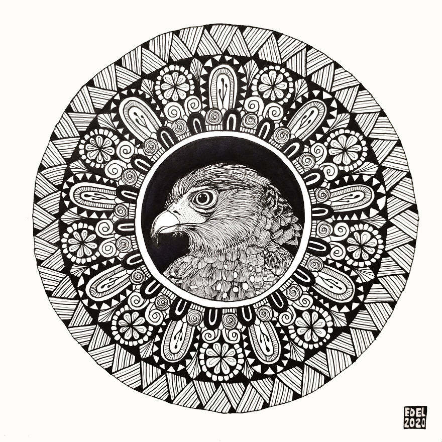 I Used Mandala Art To Help Promote Philippine Endemic Birds