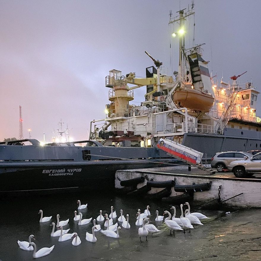 Photographer Reveals Peculiarities Of Russian Daily Life In A Unique Way