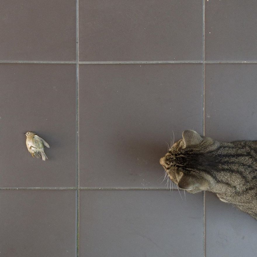 Photographer Reveals Peculiarities Of Russian Daily Life In A Unique Way