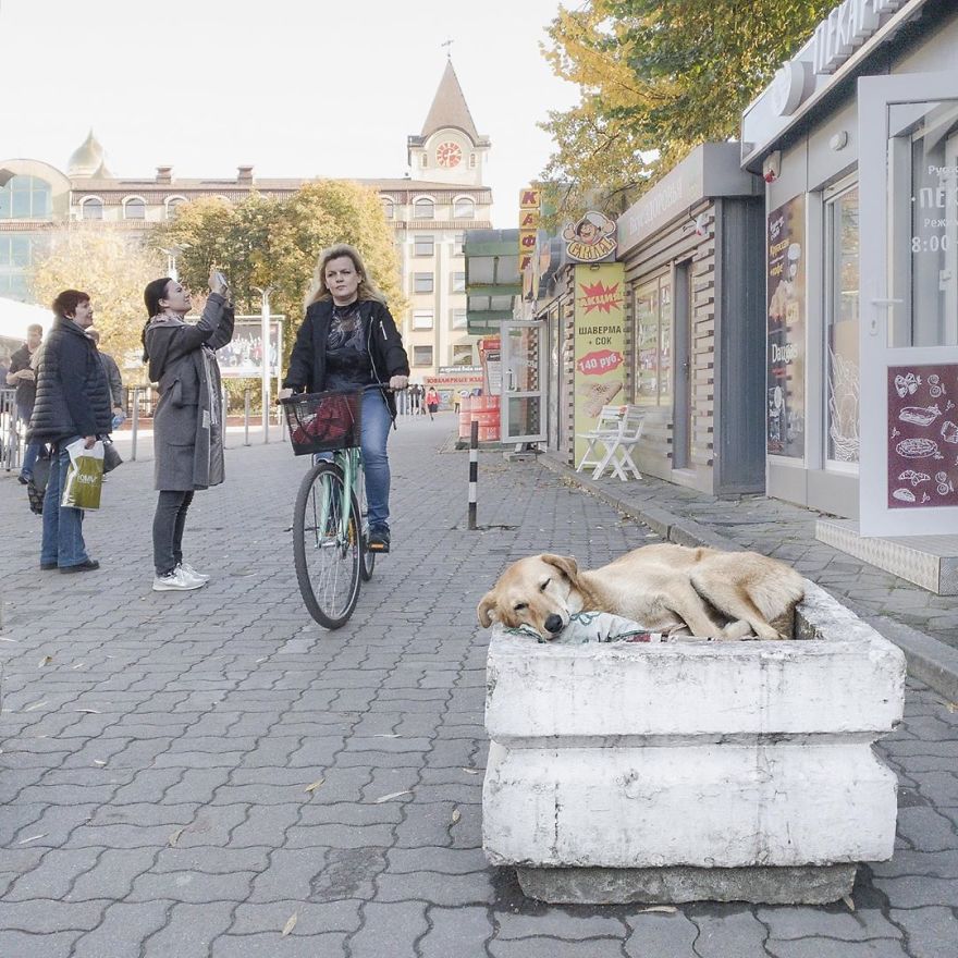 Photographer Reveals Peculiarities Of Russian Daily Life In A Unique Way