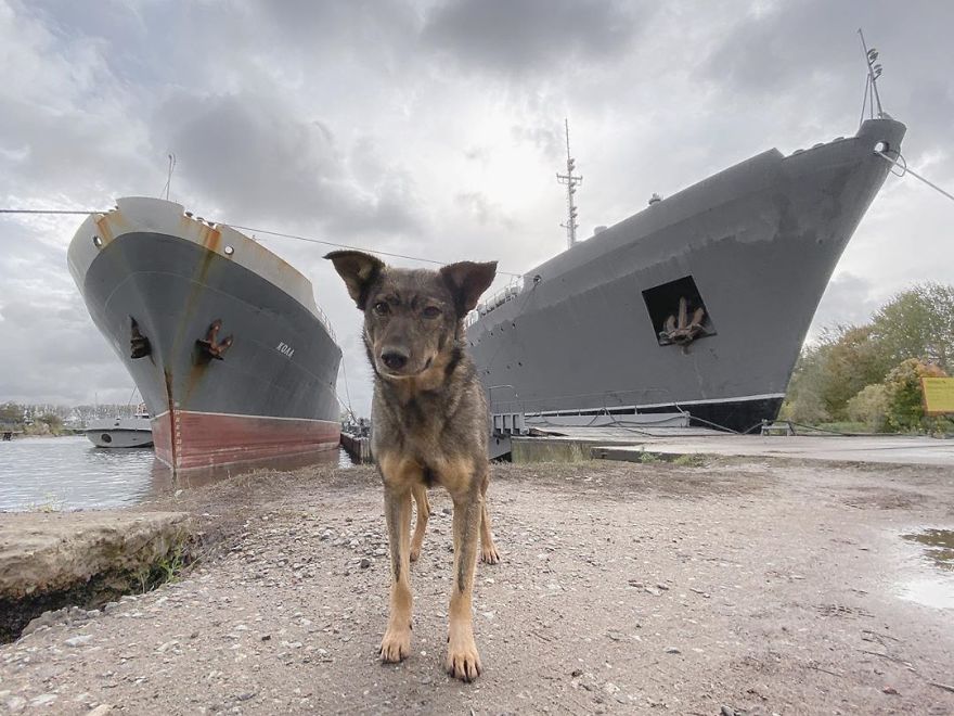 Photographer Reveals Peculiarities Of Russian Daily Life In A Unique Way