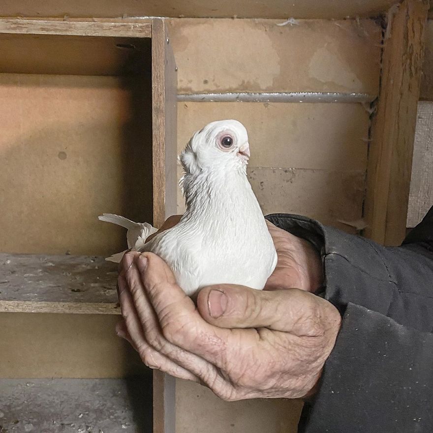 Photographer Reveals Peculiarities Of Russian Daily Life In A Unique Way