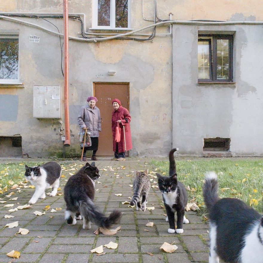 Photographer Reveals Peculiarities Of Russian Daily Life In A Unique Way
