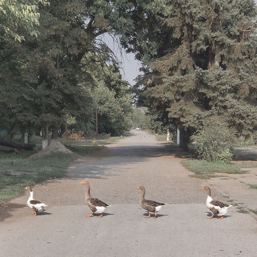 Photographer Reveals Peculiarities Of Russian Daily Life In A Unique Way