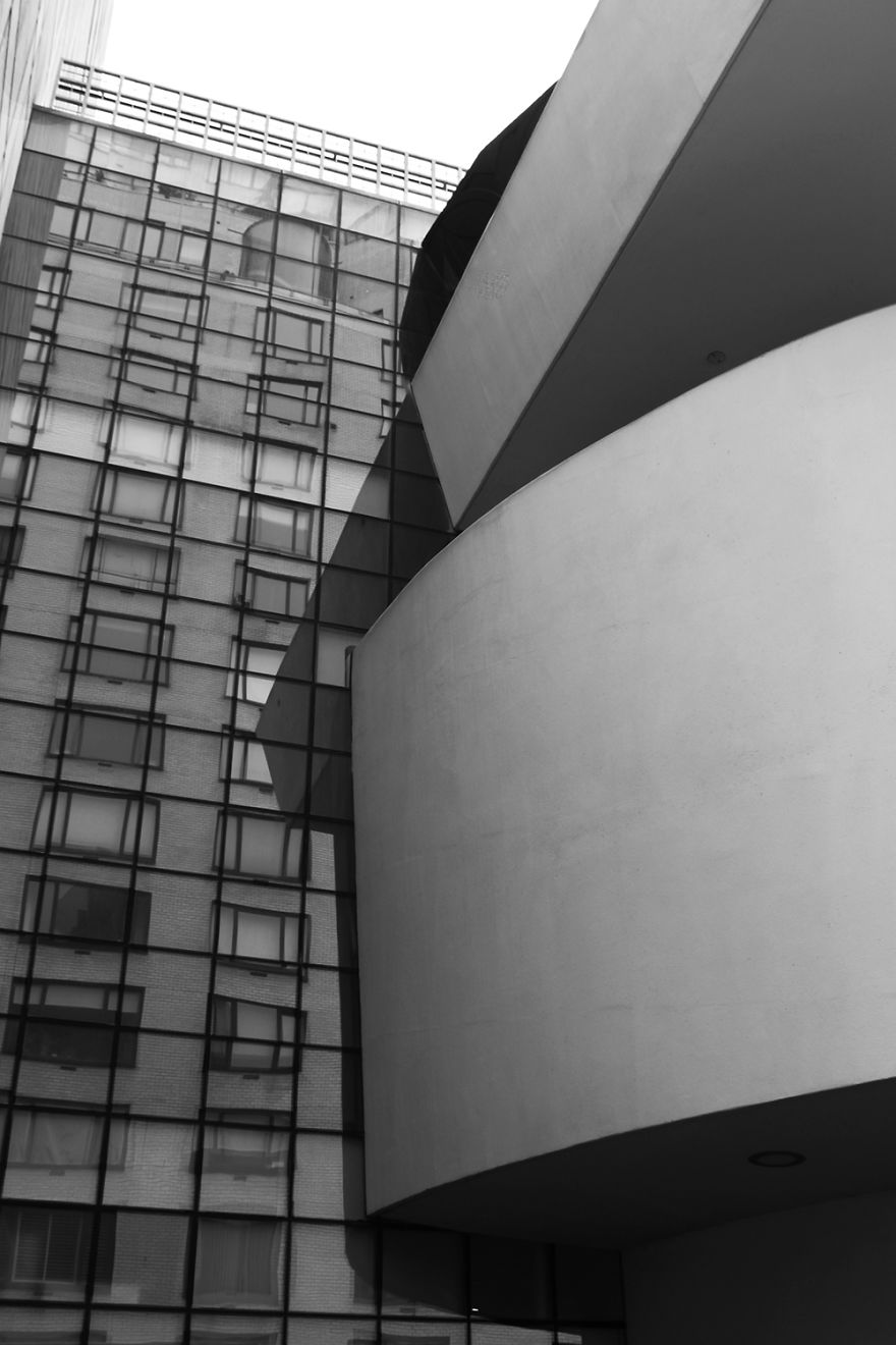 The Architectural Curves Of Regina Rocha Pitta The Architectural Curves Of Regina Rocha Pitta