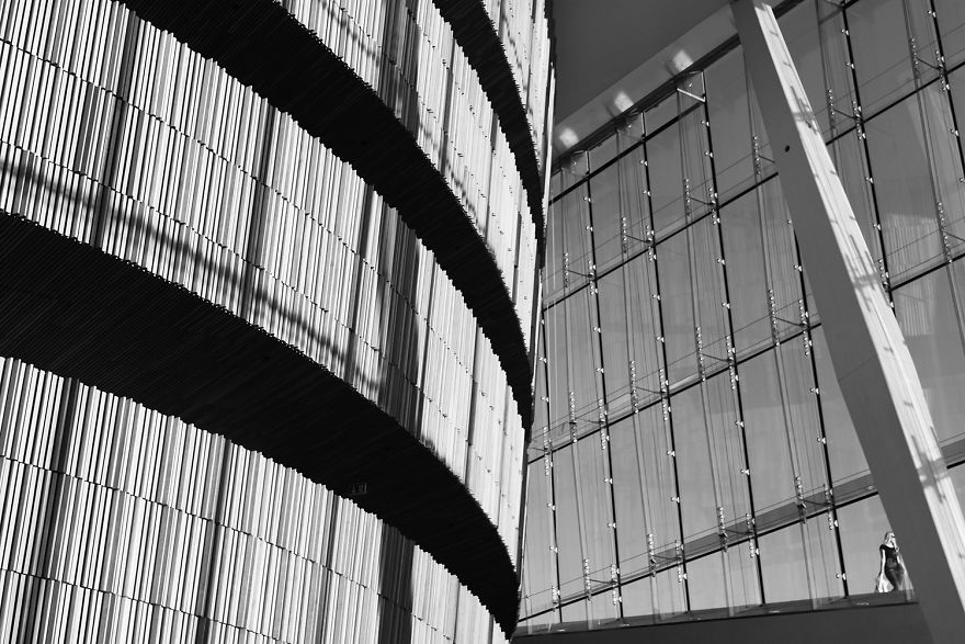 The Architectural Curves Of Regina Rocha Pitta The Architectural Curves Of Regina Rocha Pitta