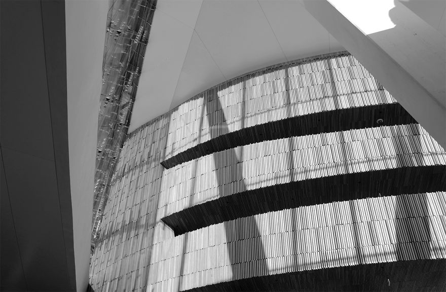 The Architectural Curves Of Regina Rocha Pitta The Architectural Curves Of Regina Rocha Pitta