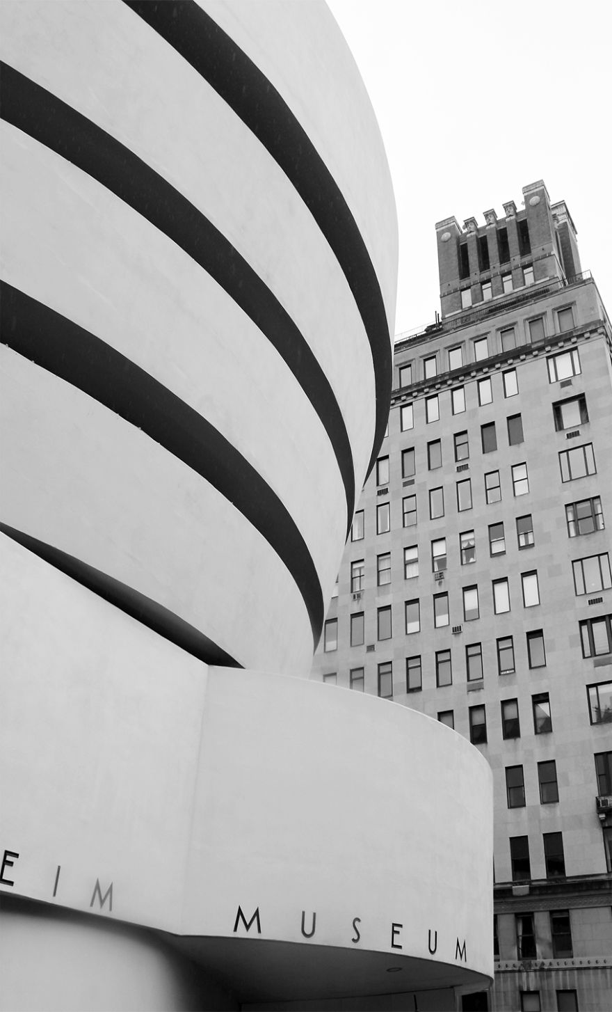 The Architectural Curves Of Regina Rocha Pitta The Architectural Curves Of Regina Rocha Pitta