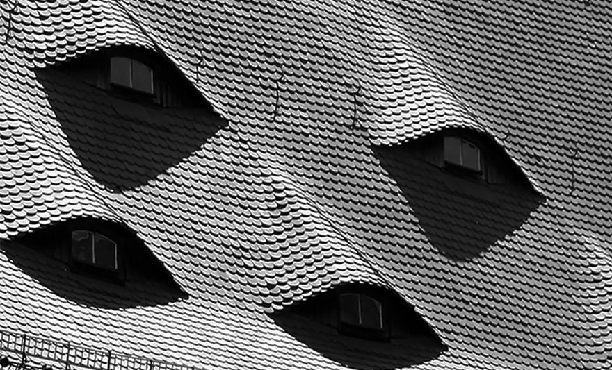 The Architectural Curves Of Regina Rocha Pitta The Architectural Curves Of Regina Rocha Pitta