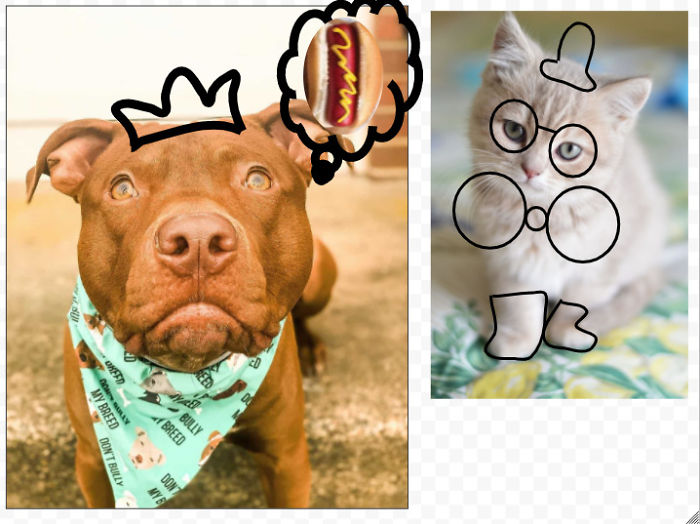 Doja And Gordo My Babies Ever Since I Was 3