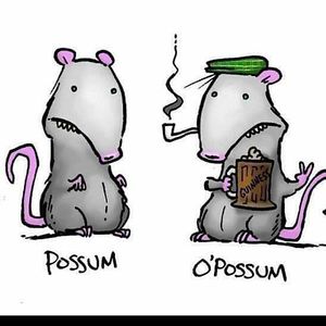 coulsonhollow avatar