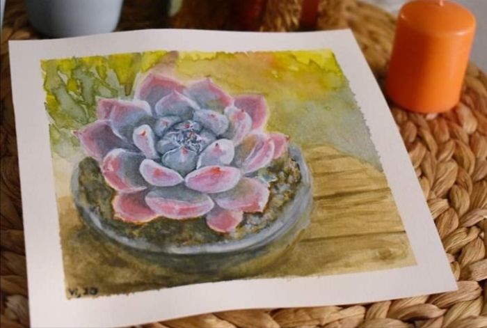 A Succulent From My Garden