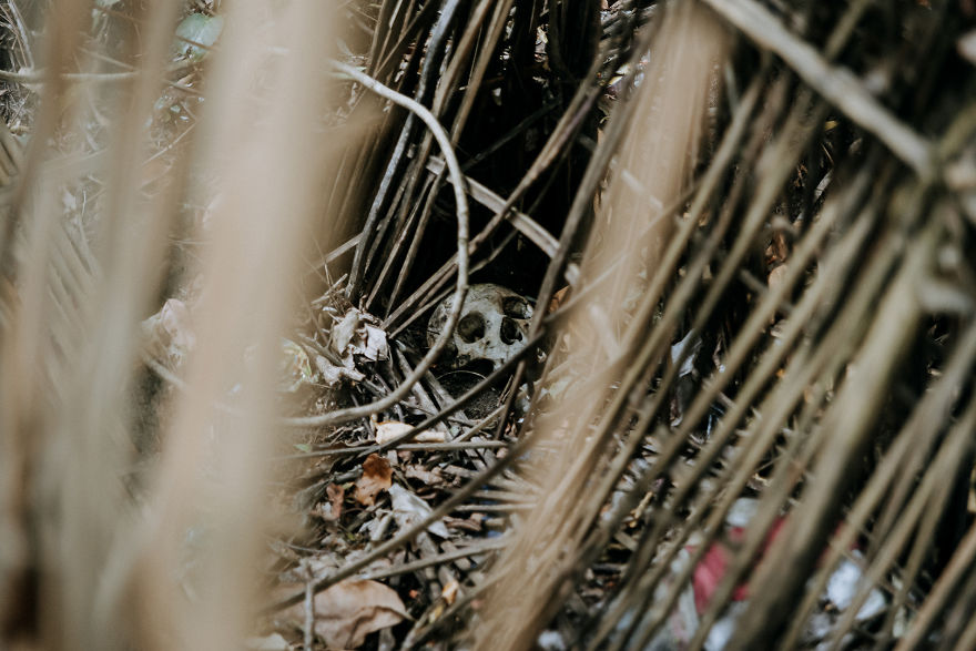 Visiting The Haunted Cemetary Of Trunyan, Bali.